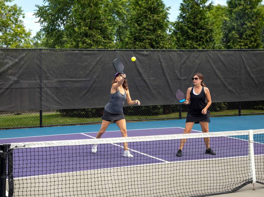 pickleball skill levels